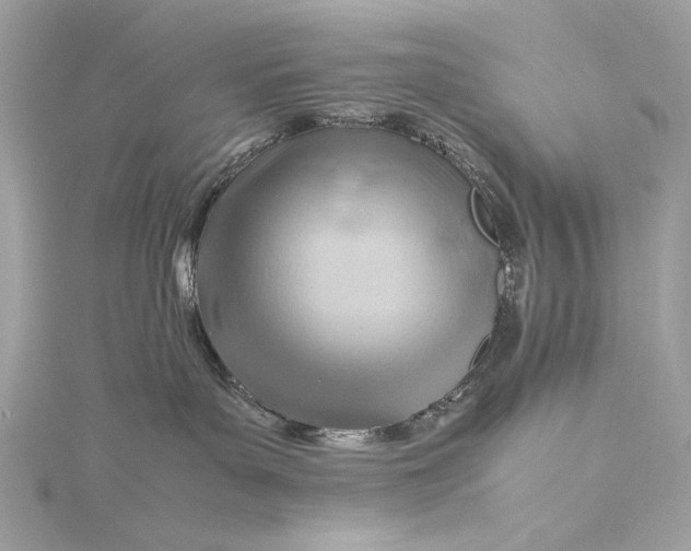 X0000115800143200912041541