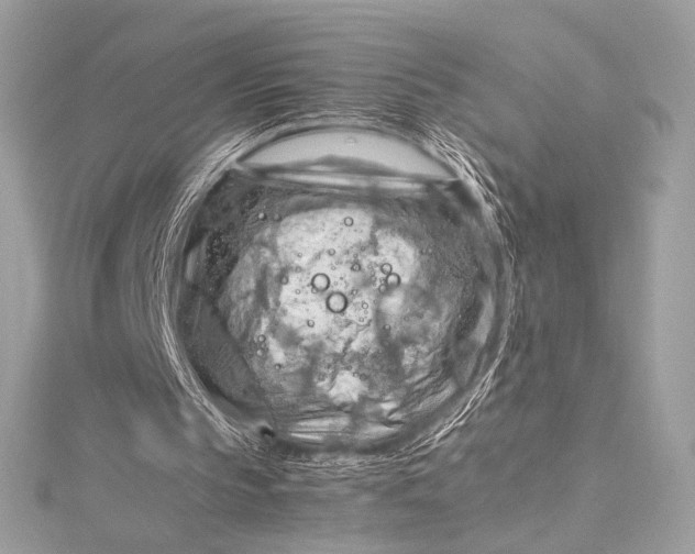 X0000115800145200912041540