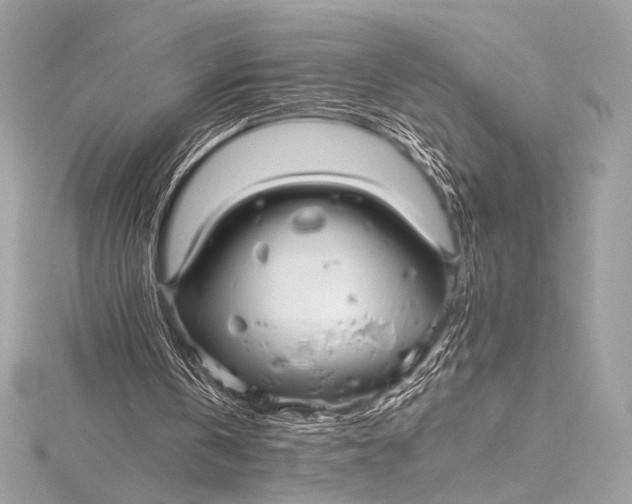 X0000115800146200912041540