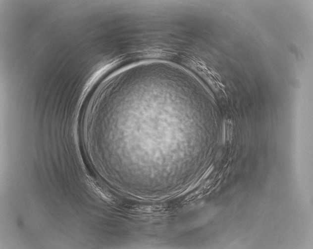 X0000115800147200912041540