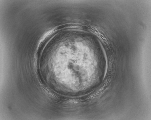 X0000115800149200912041540