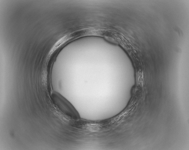 X0000115800150200912041540