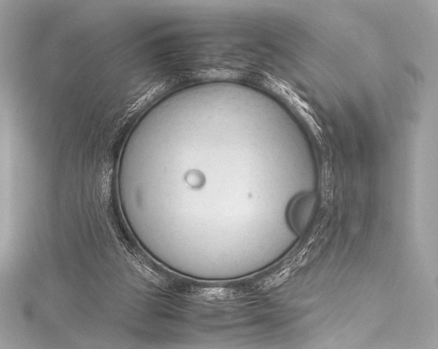 X0000115800153200912041540