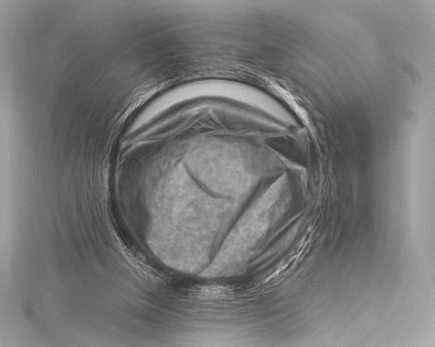 X0000115800154200912041540