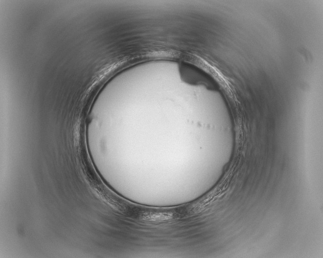 X0000115800155200912041540