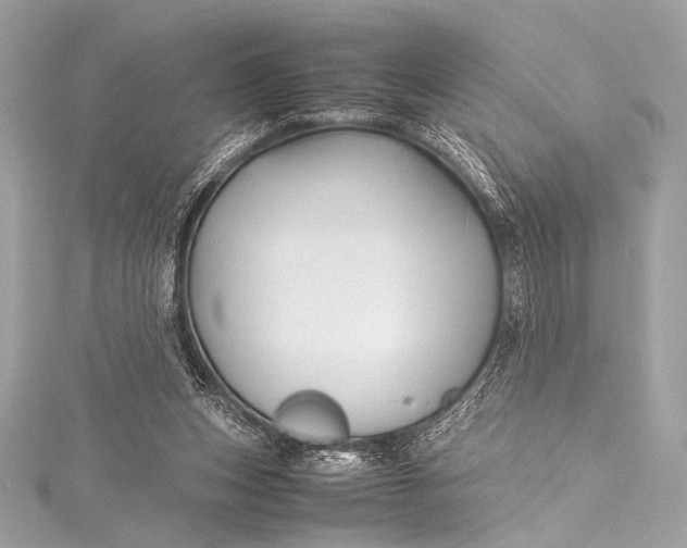 X0000115800159200912041540