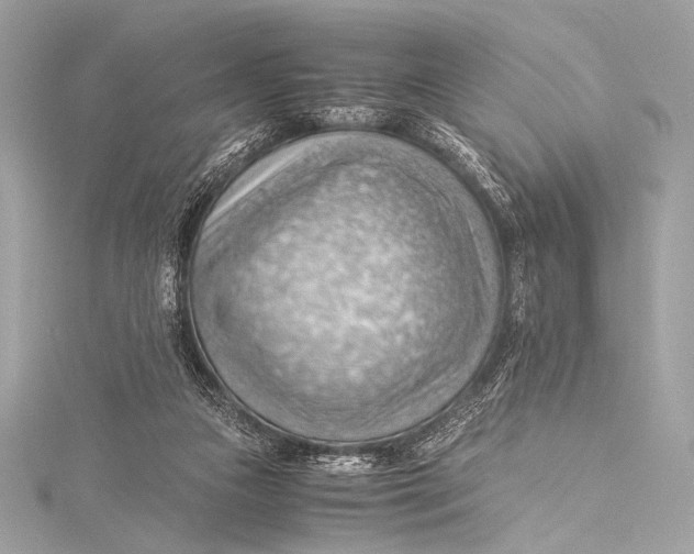 X0000115800161200912041541