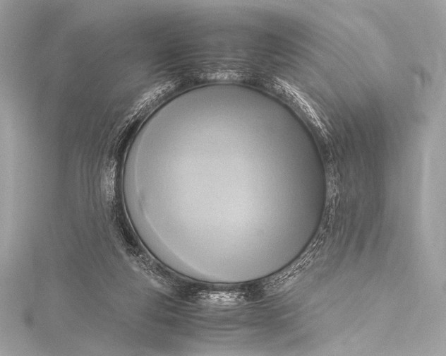 X0000115800163200912041541