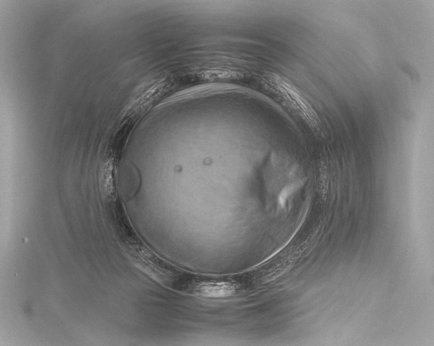 X0000115800169200912041541