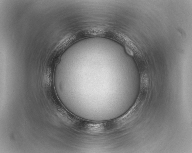 X0000115800170200912041541