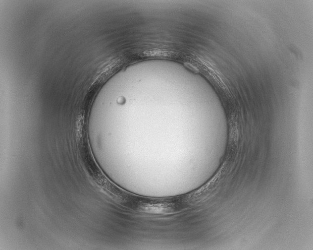 X0000115800171200912041541