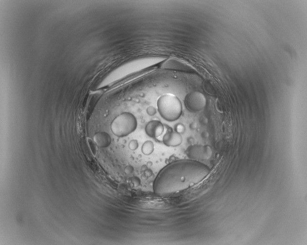 X0000115800175200912041541