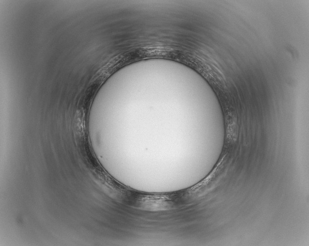 X0000115800179200912041541