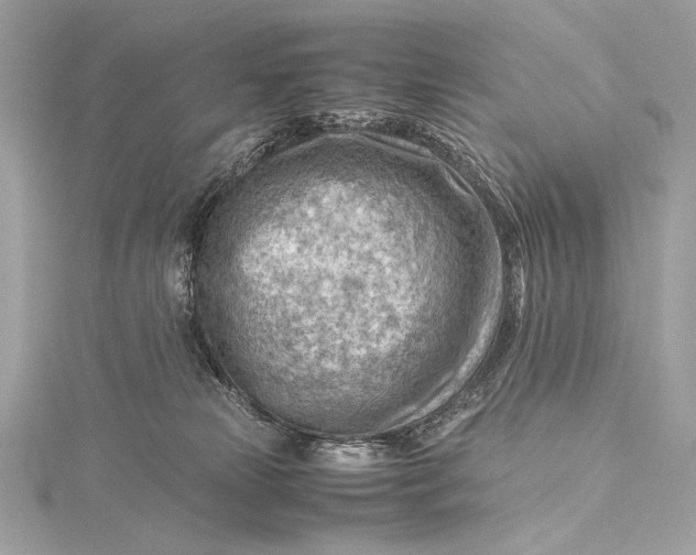 X0000115800181200912041541