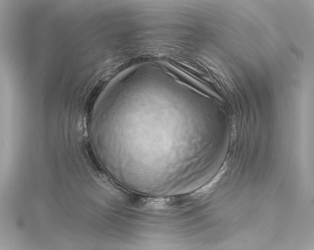 X0000115800182200912041541