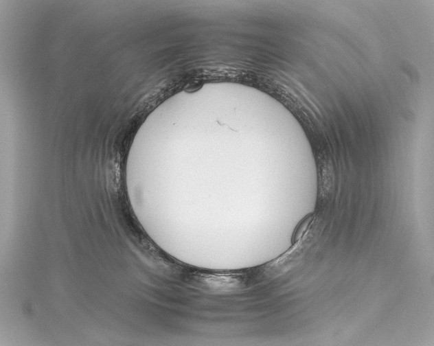 X0000115800183200912041541