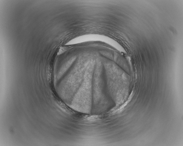 X0000115800186200912041541