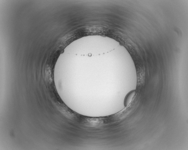 X0000115800187200912041541