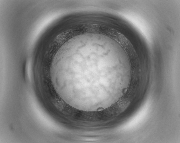 X0000115800189200912041541