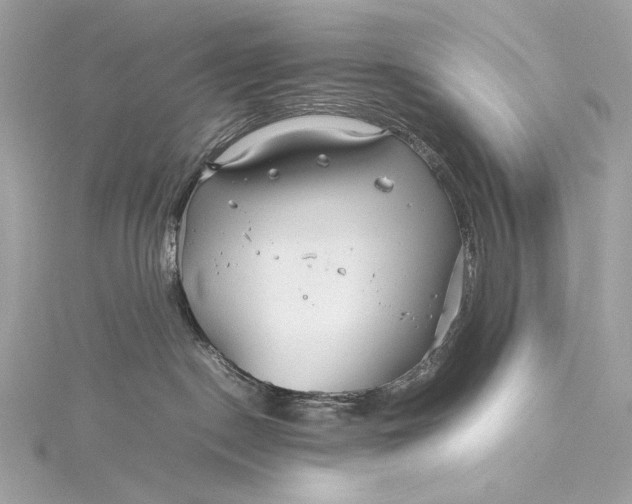 X0000115800190200912041541