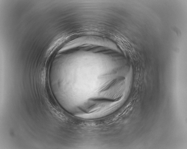 X0000115800194200912041540