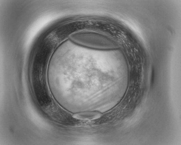 X0000115800195200912041540