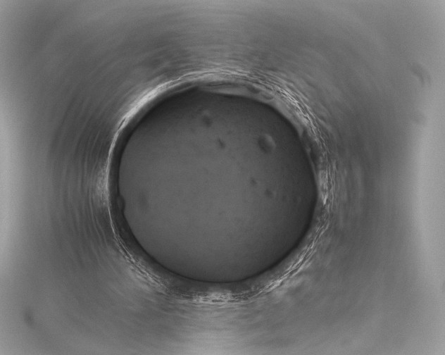 X0000115800196200912041540