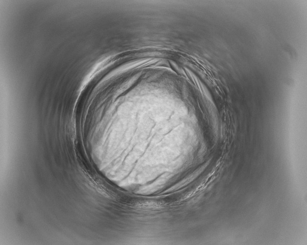 X0000115800198200912041540