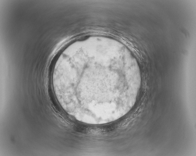 X0000115800199200912041540