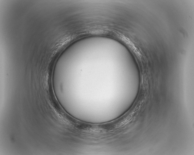 X0000115800201200912041540