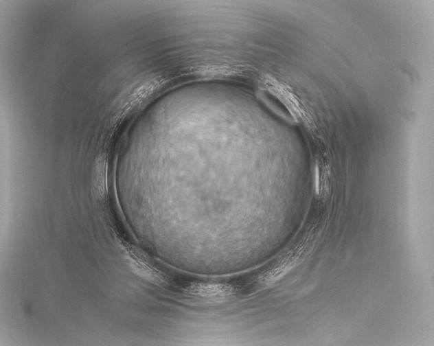 X0000115800205200912041540