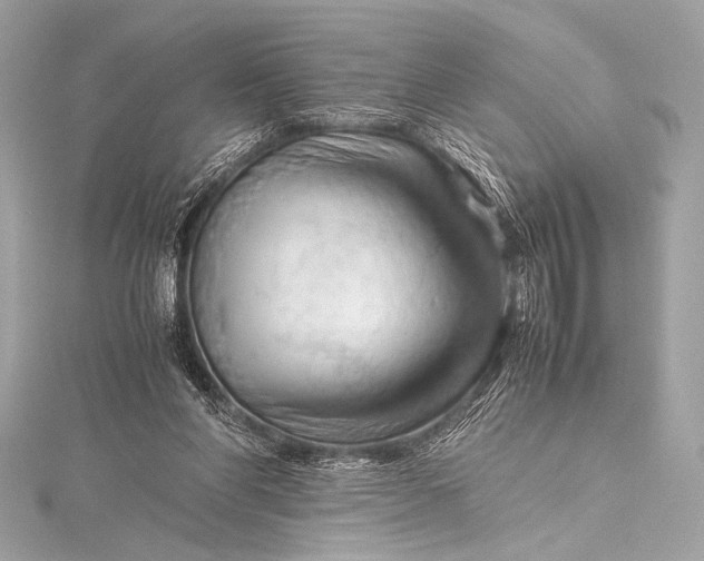 X0000115800206200912041540