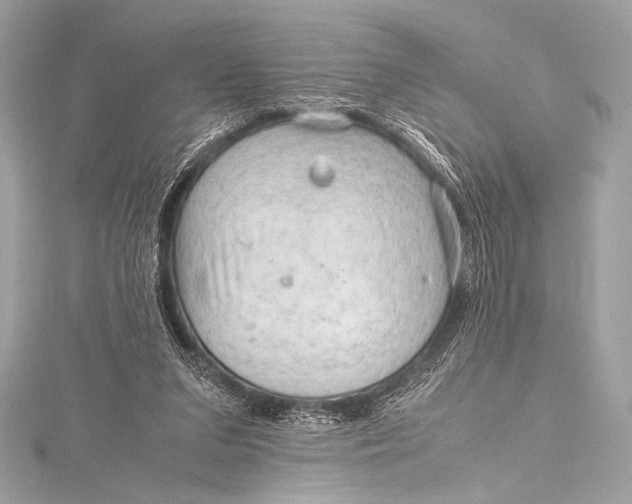 X0000115800207200912041540