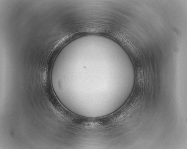 X0000115800208200912041540