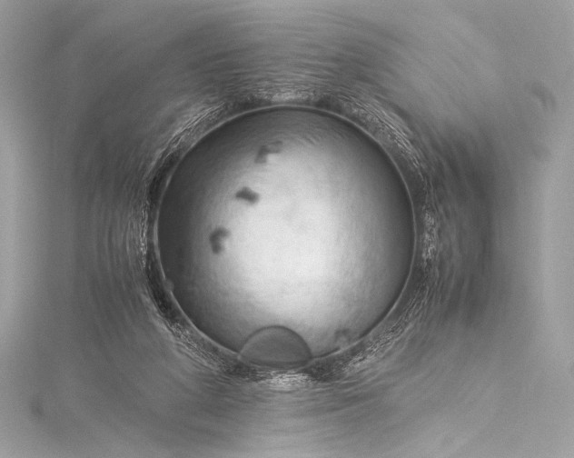 X0000115800210200912041540