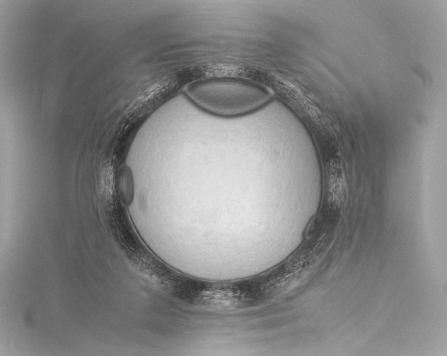 X0000115800211200912041540