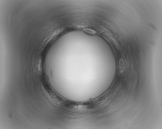 X0000115800212200912041540