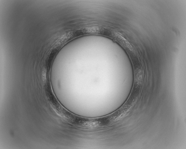 X0000115800213200912041540