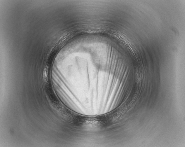 X0000115800214200912041540