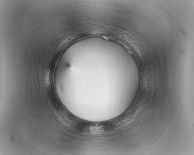 X0000115800216200912041540