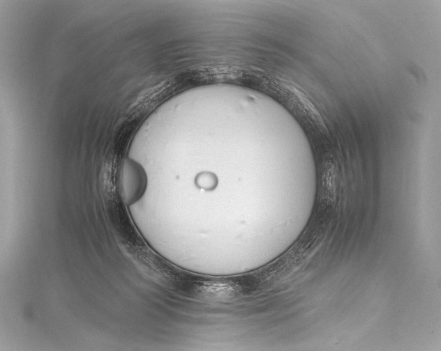 X0000115800218200912041540