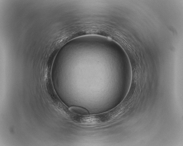 X0000115800219200912041540