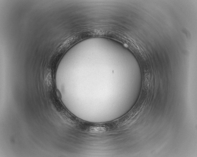 X0000115800220200912041540