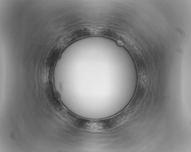 X0000115800221200912041540