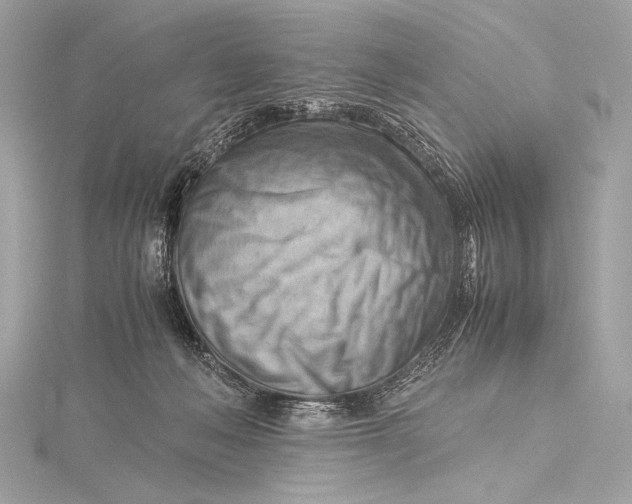 X0000115800222200912041540