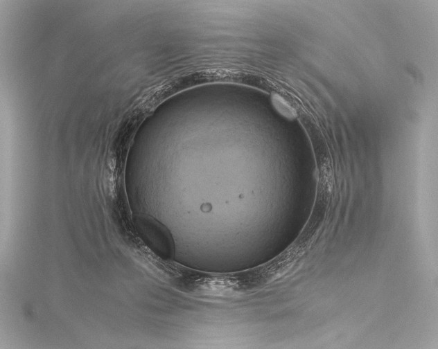 X0000115800223200912041540