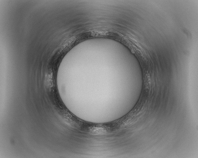 X0000115800224200912041540