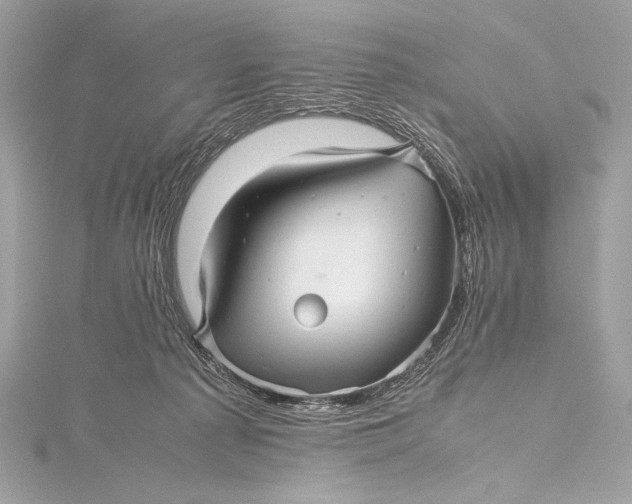 X0000115800225200912041540