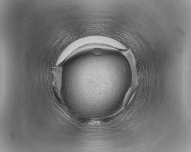 X0000115800227200912041540