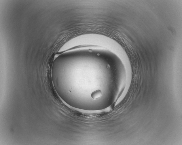 X0000115800229200912041540